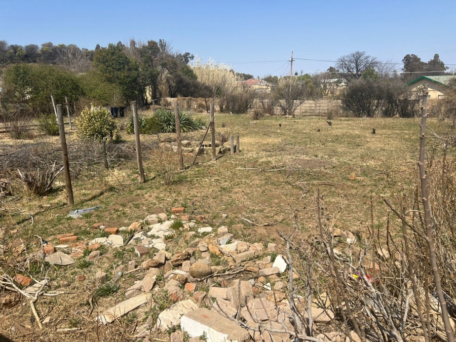 3 Bedroom Property for Sale in Wepener Free State